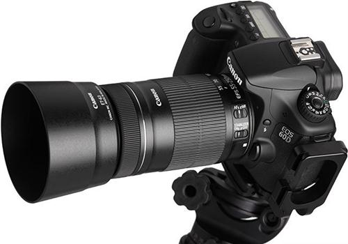 Canon 望遠レンズ EF-S 55-250mm F4-5.6 IS（EF-S55-250mm F4